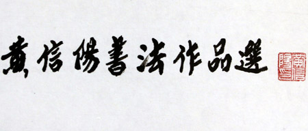 黄信阳道长书法作品赏析（图库）