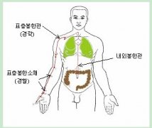 苏光燮：气和经络的物理实体
