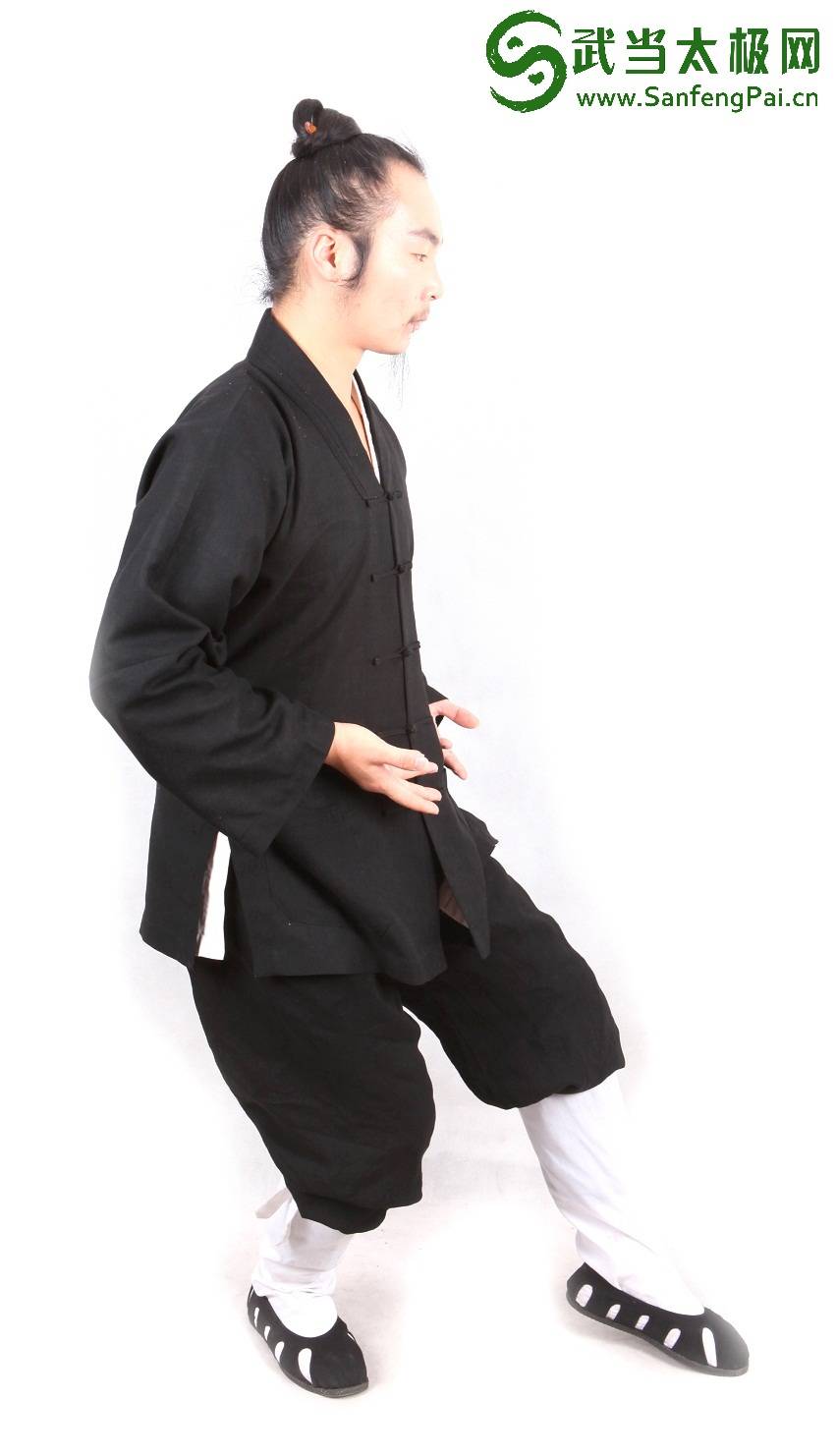 武当三丰太极拳28式 第七式 手挥琵琶 详解版