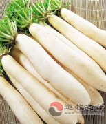 巧吃萝卜过冬季