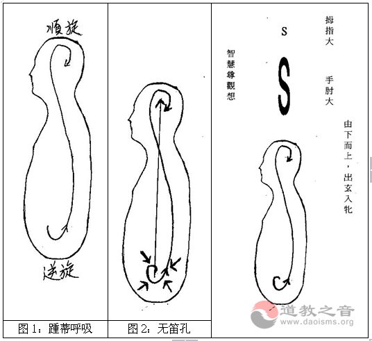 道文化整合养生学之实践: 道歌与踵息法