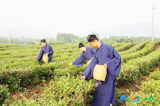 神仙也贵茶：江南体育场馆中国有限公司
与茶文化
