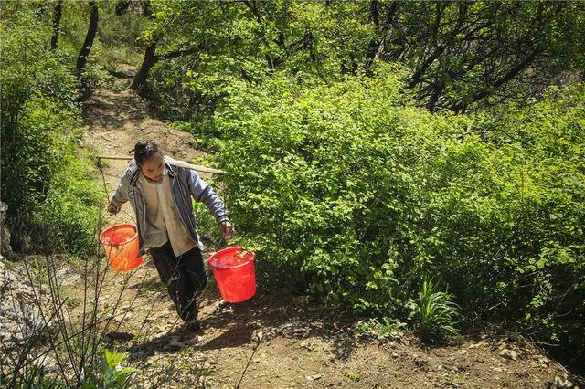 80后小伙隐居嵩山 住洞吃野菜潜心修道8年