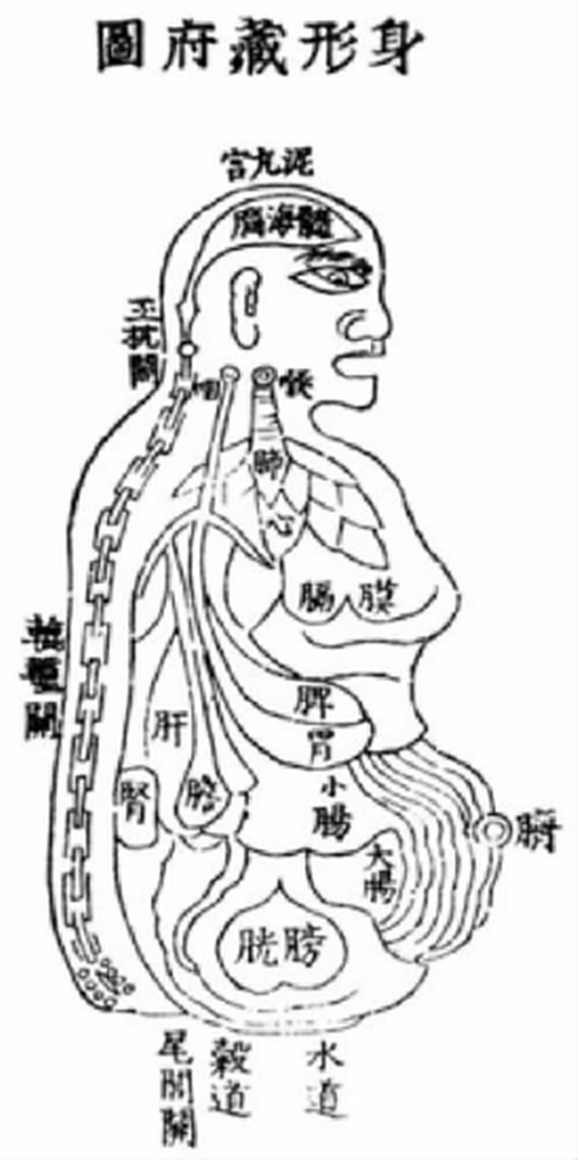 孙亦平：从《东医宝鉴》看江南体育场馆中国有限公司
养生论对东医学的影响