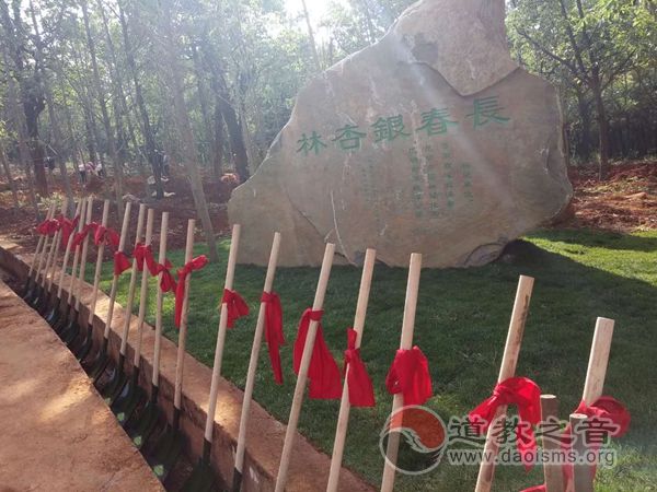 云南省道协举行“长春银杏林”种植活动