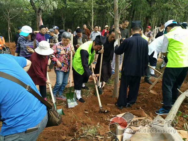 云南省道协举行“长春银杏林”种植活动
