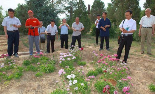 陕西多地统战部民宗局代表到卧云山道观考察