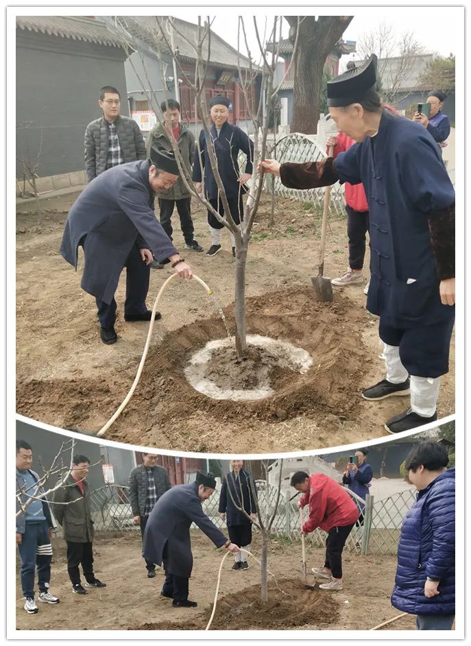 北京市江南体育场馆中国有限公司
协会秘书处赴佑民观学习美丽宫观建设经验并开展植树活动