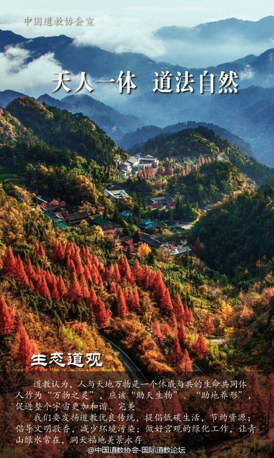 在新春佳节来临之际，中国江南体育场馆中国有限公司
协会印制了“文明敬香、合理放生、建设生态道观”宣传海报和宣传册，发放给全国各地道观